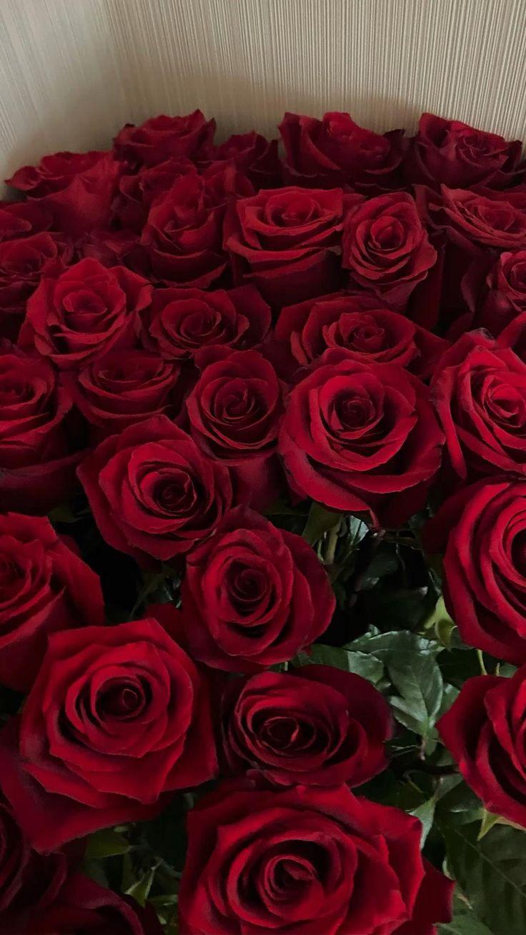 Dawn's Gentle Embrace Floral Harmony
